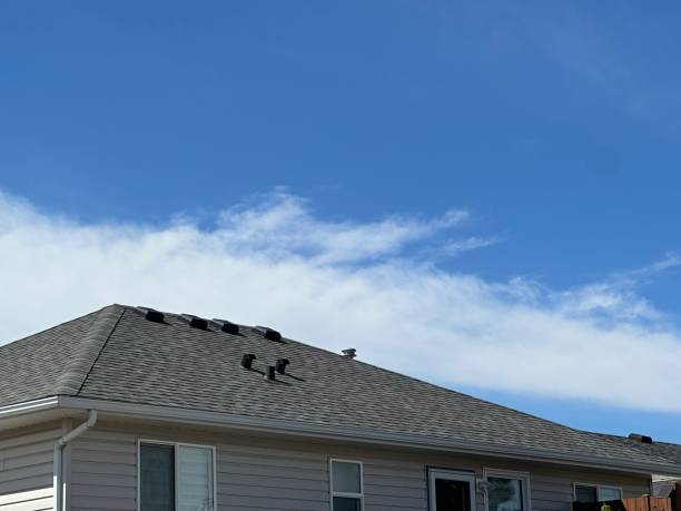 Best Skylight Installation and Repair  in Thompsonville, CT